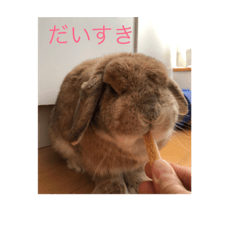 [LINEスタンプ] ウサギのぎっく