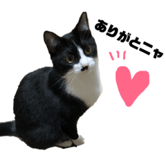 [LINEスタンプ] ジロ＆マロ 