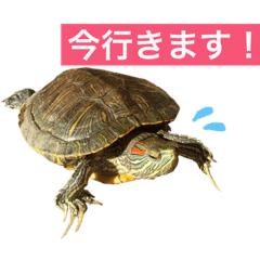 [LINEスタンプ] 敬語のカミーさん。