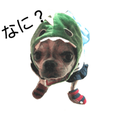 [LINEスタンプ] 番犬プリンのスタンプだよ