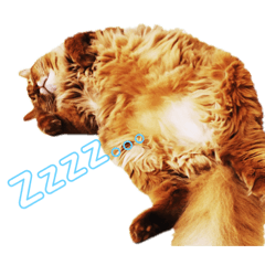 [LINEスタンプ] 猫すたんぷ3