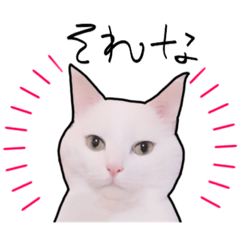 [LINEスタンプ] ハク時々お友達