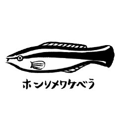 [LINEスタンプ] いつもとなりに海洋生物