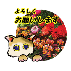 [LINEスタンプ] 花猫2-お願いと了解