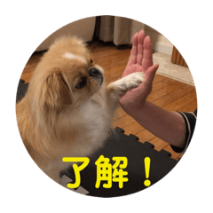 [LINEスタンプ] ペキチワ  あるみん 