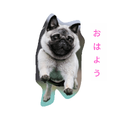 [LINEスタンプ] 犬 ことば