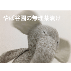[LINEスタンプ] ゾウだよ