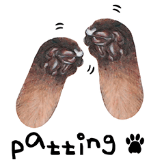 [LINEスタンプ] 猫ベルちゃんの生活 01 (英語 Ver.)