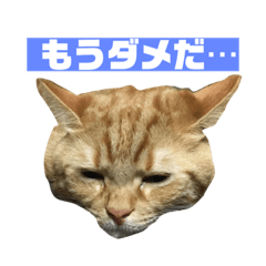 [LINEスタンプ] しょぼくれ！ち〜み〜スタンプ