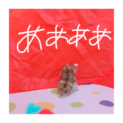 [LINEスタンプ] りいたその日常。1