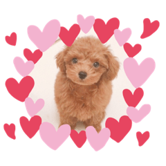 [LINEスタンプ] ジョンだよ