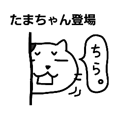 [LINEスタンプ] たまちゃん連絡用スタンプ