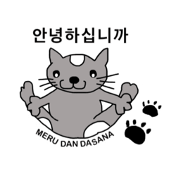 [LINEスタンプ] 猫ヨガスタンプ/韓国語の画像（メイン）