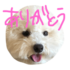 [LINEスタンプ] メルくんスタンプ