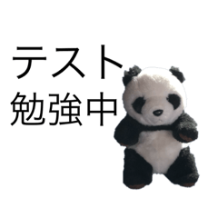 [LINEスタンプ] 勉強パンダ