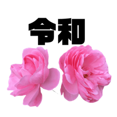 [LINEスタンプ] yasuおばさんの薔薇言葉2