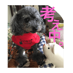 [LINEスタンプ] しょこぱぴ日和3