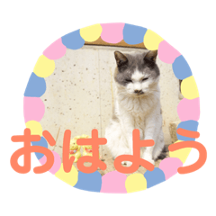 [LINEスタンプ] みにーとむぎお 