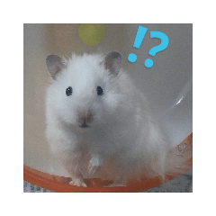 [LINEスタンプ] はむスたんぷ 