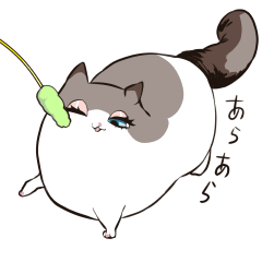 [LINEスタンプ] 太めな猫のラグドールさん