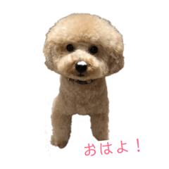 [LINEスタンプ] にょにょ1