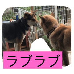 [LINEスタンプ] 癒されるよね〜