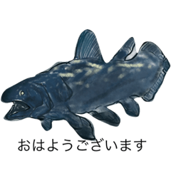 [LINEスタンプ] （魚）
