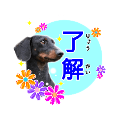 [LINEスタンプ] ツルツルダックス