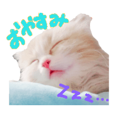 [LINEスタンプ] もにゃおくん