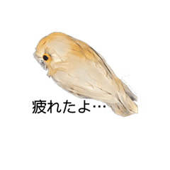 [LINEスタンプ] フクロウさん009