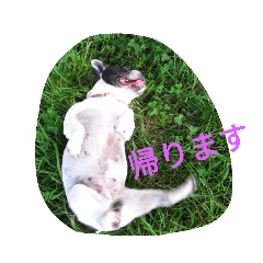 [LINEスタンプ] 帰りま〜す