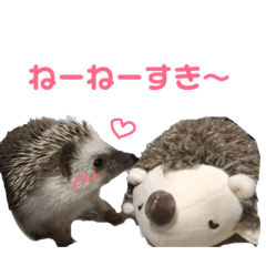 [LINEスタンプ] 愛しのこむちゃん3
