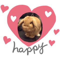 [LINEスタンプ] ウサギのぎっちゃん