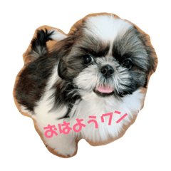 [LINEスタンプ] かわいいあんこちゃん