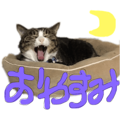 [LINEスタンプ] 成田さん家