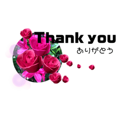 [LINEスタンプ] 気持ちを簡単な英語で