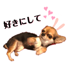 [LINEスタンプ] kazubaby.STAMP 