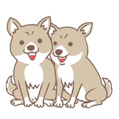 [LINEスタンプ] 可愛くってたまらん柴犬1 
