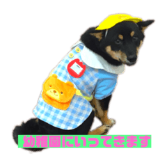 [LINEスタンプ] めねぎ 