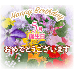 [LINEスタンプ] 5月誕生日の友達に誕生花でHappy Birthdayの画像（メイン）