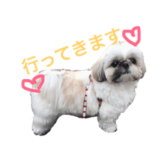 [LINEスタンプ] シーズー犬 ロウロウ