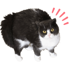 [LINEスタンプ] リリー②