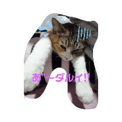 [LINEスタンプ] 我が家の家族ツー❣ 