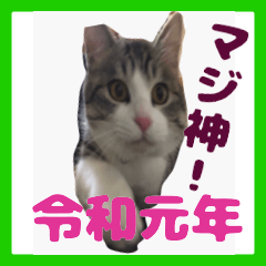 [LINEスタンプ] チロ助スタンプ11