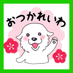 [LINEスタンプ] 【新元号】大きな白い犬 ピレネー犬の画像（メイン）