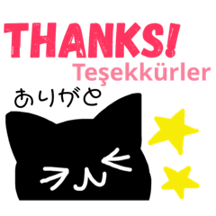 [LINEスタンプ] トルコ語＆日本語＆英語スタンプ