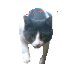 [LINEスタンプ] すにすに