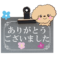 [LINEスタンプ] トイプードル【アプリコット】※メモ書き編