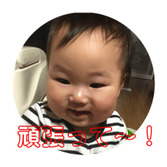 [LINEスタンプ] 寺島家スタンプ