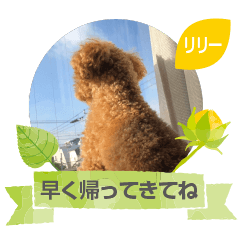 [LINEスタンプ] リリーちゃん Vol.2